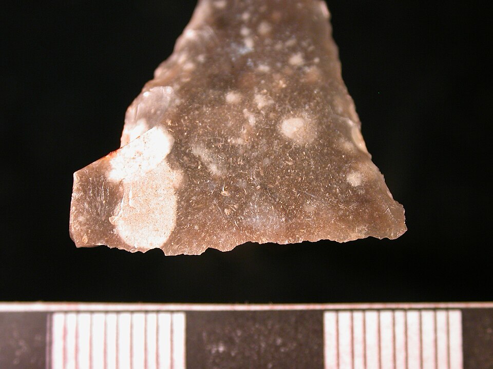 File:Mesolithic petit tranchet arrowhead (section) (FindID 191000).jpg