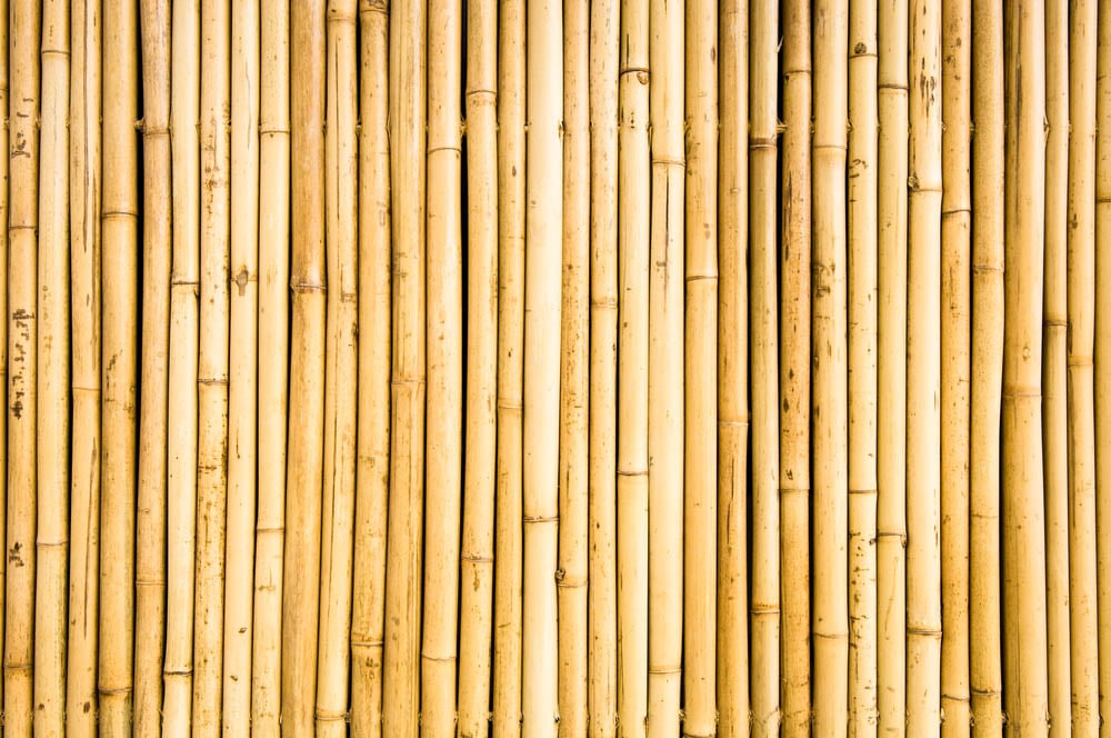 bamboo trust